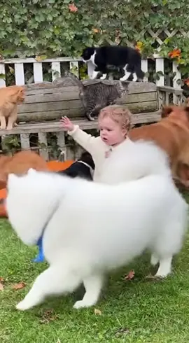 #cutebaby #babiesoftiktok #funnybaby #funnybaby #dogsvideo 