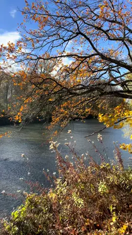 #şair#edebiyatsözler #edebiya#Sonbahar