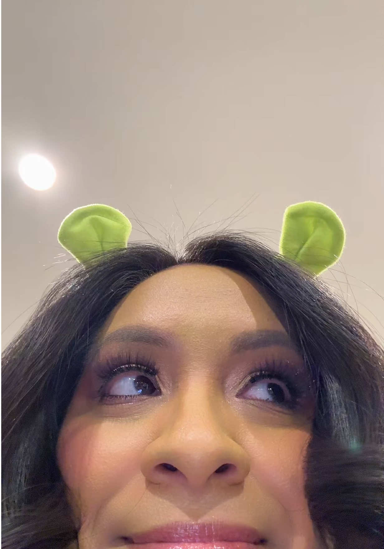 Probably our favorite costume 😂 #shrek #shrekislove #shrekcostume #fyp 