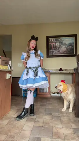 someone wasn't the happiest after 5 tries...  #rooster #aliceinchains #dog #fyp 