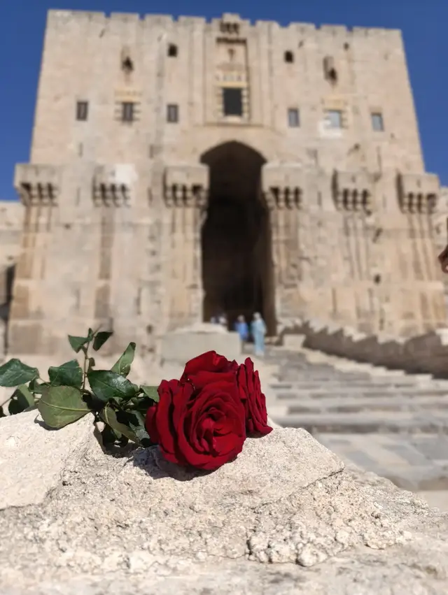 #tiktok #capcut #fyp #aleppo #حلب 