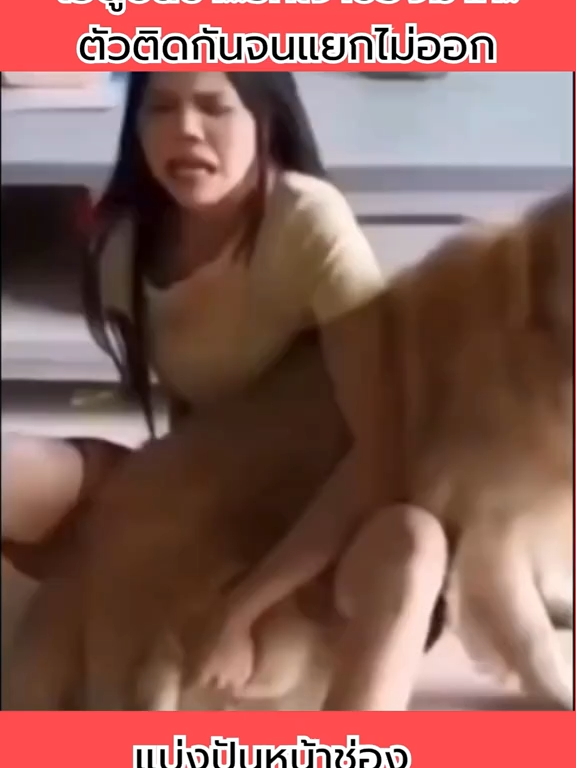 #กดติดตามเราหน่อย #ดันฟีดที #fyppppppppppppppppppppppp #คนไทยเป็นคนตลก