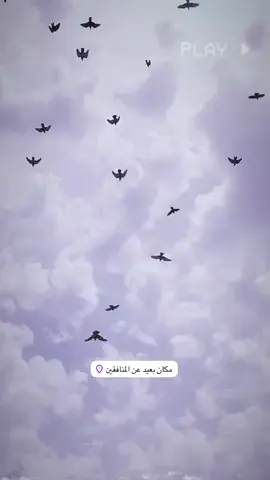 افضل مكان  . 😄💔.  .  .  .  .  .  .  .  #العراق  #الكويت  #بر  #علي_صياح_عميد_الهوايه  #لوت 