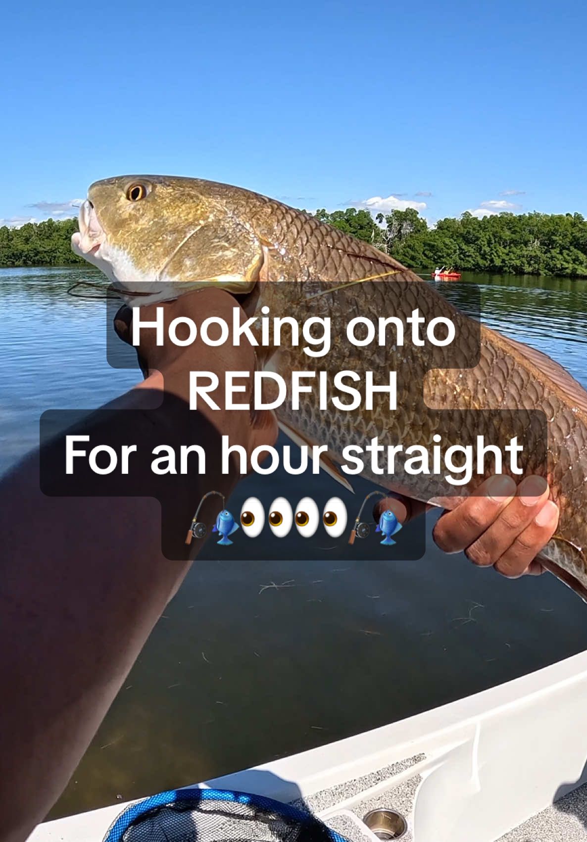 Lmk if you guys have any tips on catching reds💪🏾💪🏾 Anytime I want to get on the water I always hit up @BeyondFishingCharters and if you’re anywhere in the Tampa region I’d highly recommend 👀  #fishingtampabay #tampafishing #floridafishing #redfish #floridalife 