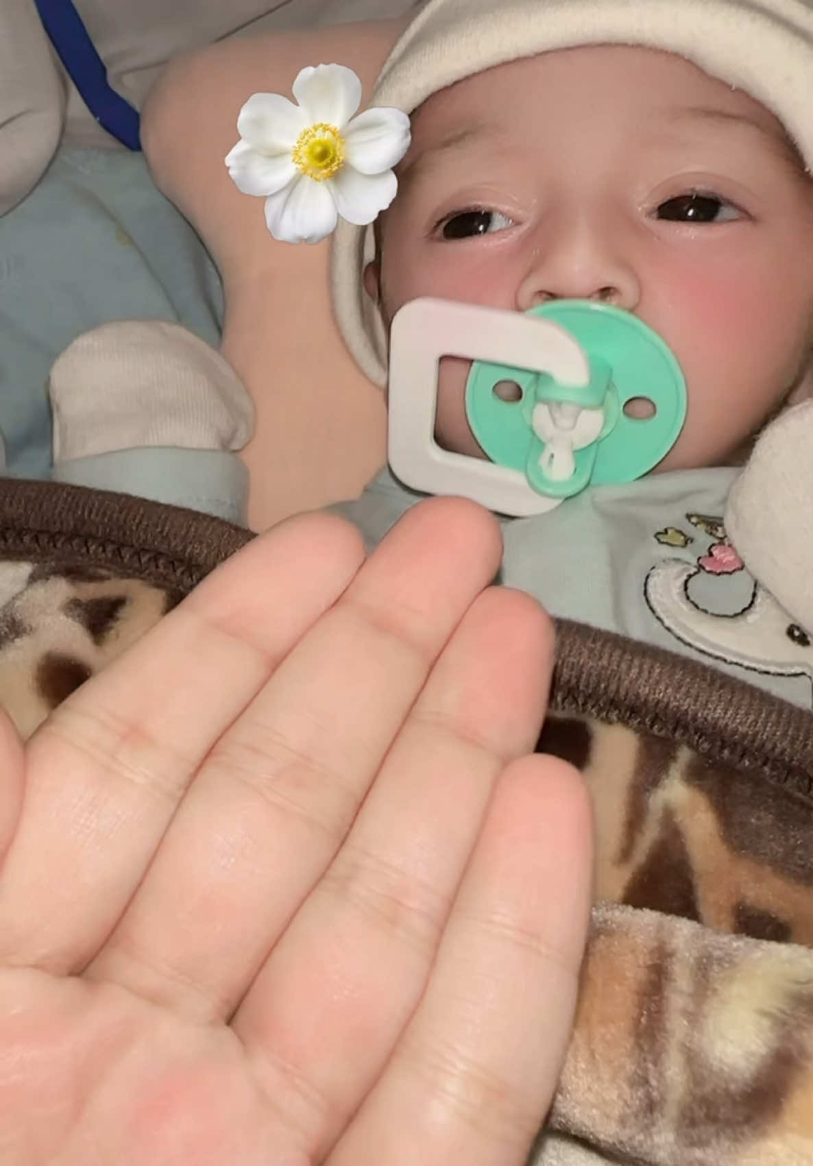 😂😂😅😅#trending #trendingvideo #new #baby #fypage #foryou #newbornbaby #uae🇦🇪 #peshawar #viralvideo #CapCut #newtrend #pakistan #song 