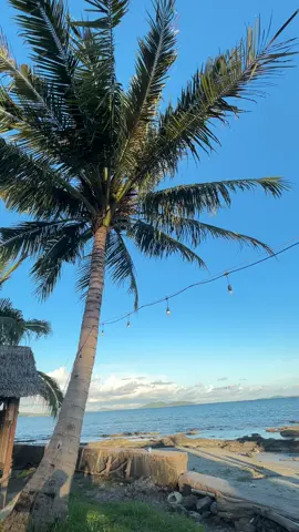 oh god, I just want to go back—without all these thoughts haunting me every day