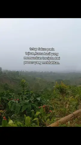 selagi bernafas harus sllu semagat✌🔥 #petanikopi #petanimuda #lampungbarat 