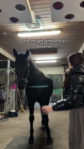 Schätzt mal unsere Größe #fürdich #pferd #grössenunterschied #horse #fyp 