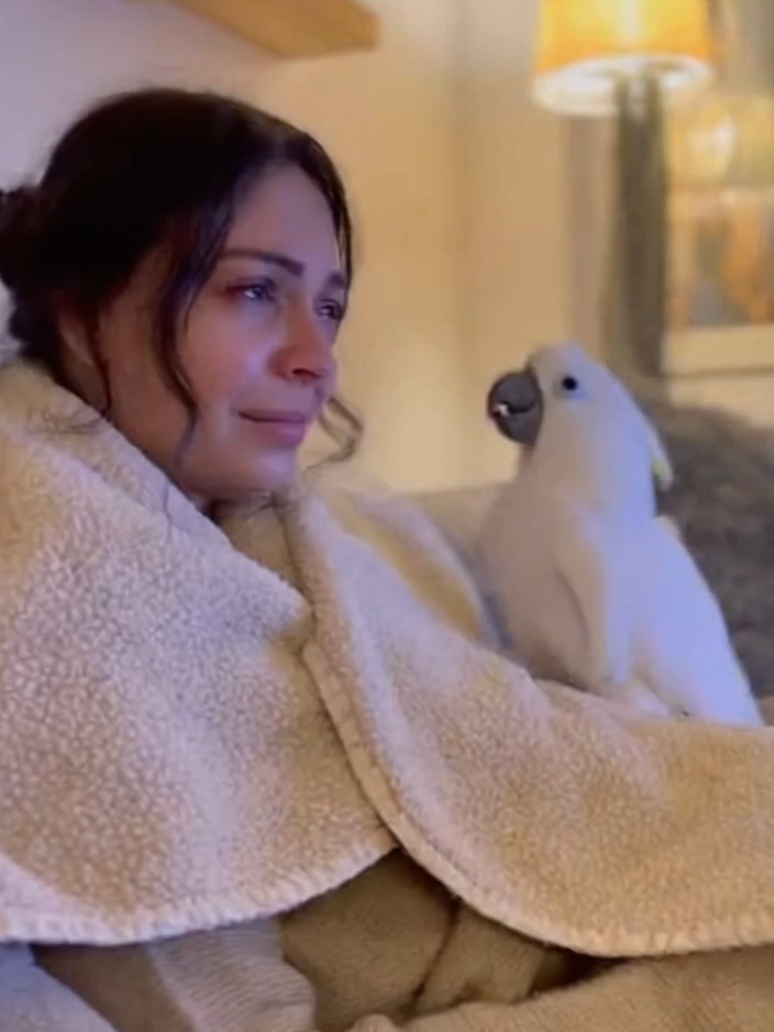 When the Parrot Thinks It’s Real 😂🦜🎬 #FunnyParrot #EmotionalScene #TalkingBird #ViralVideo #SaraAndBabagai #HeartwarmingComedy #usa #unitedstates #india