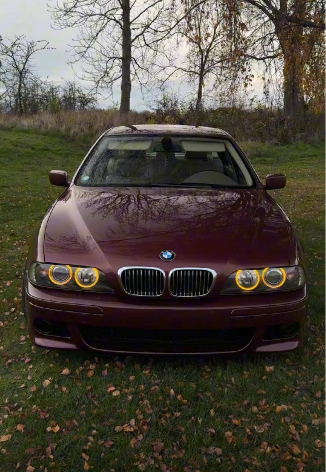 #bmw #e39 #germancars #carsoftiktok #foryou 