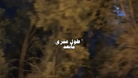 طول عمري مابعد 🧑🏻‍🦯 . #الوليد_ال_عامر #تصميمي #foryo #fyp 