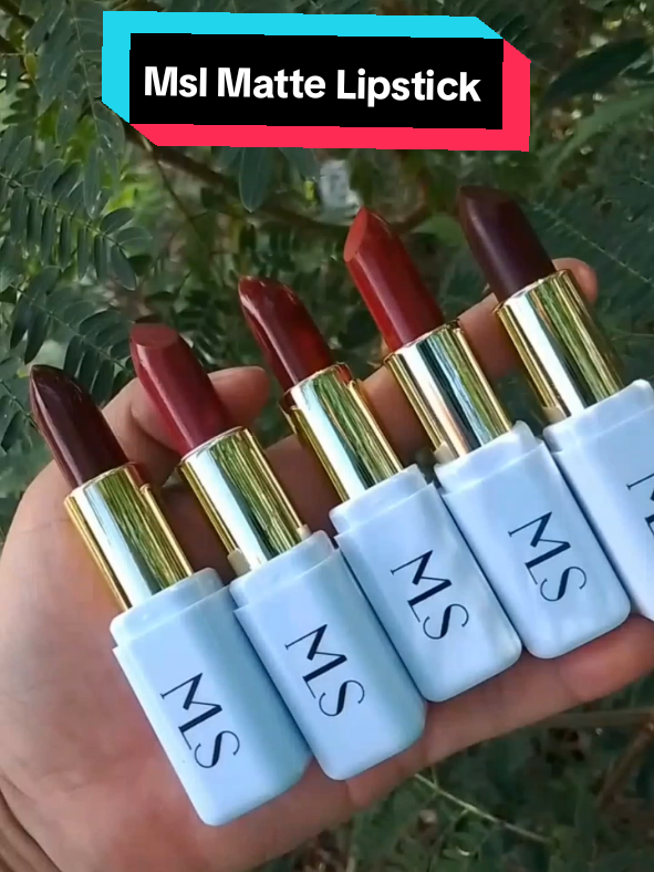 MSL MATTE LIPSTICK  #mslmattelipstick #lipstick  #longlastinglipstick #fyp 
