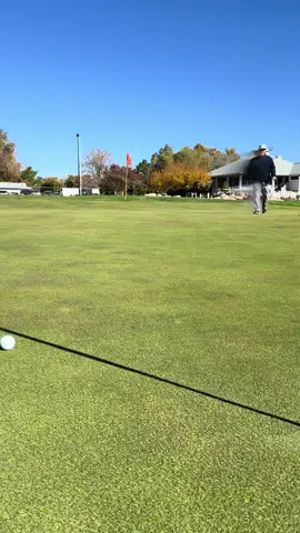 Eagle Try Alert! #fore #golftiktok #forefathers 