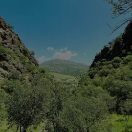 کچێ جانێ🫶🏻😍 #kurdistan #kurd #barzan #active #viral 