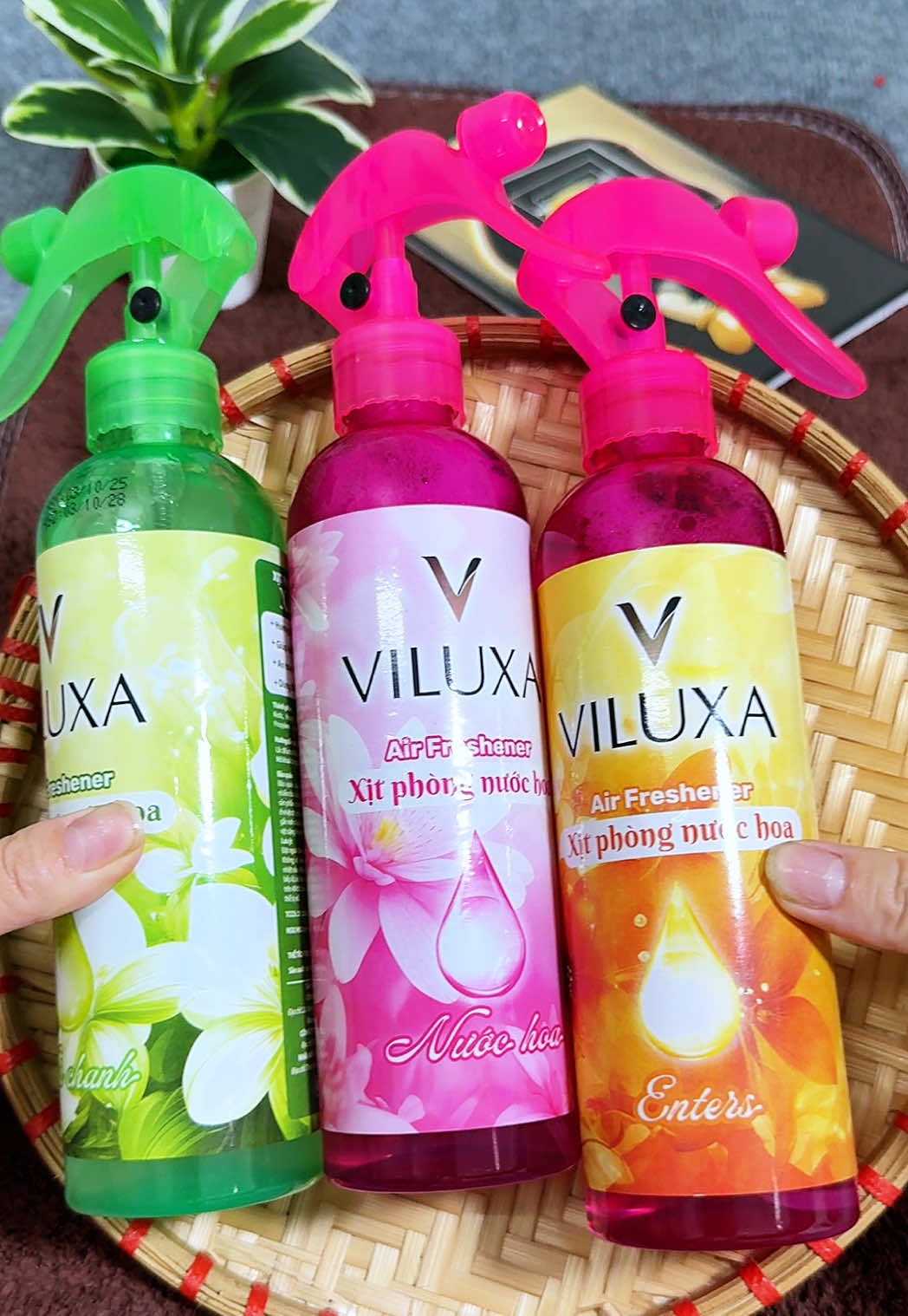 Xịt thơm phòng Viluxa vừa giúp thơm phòng lại xua đuổi muỗi #xitphong #xitthomphong #xitphongviluxa #viluxa #trangdaynhe💚 