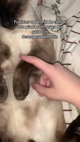 Esse gato não tem alma vey, parece que tá morto ;-;