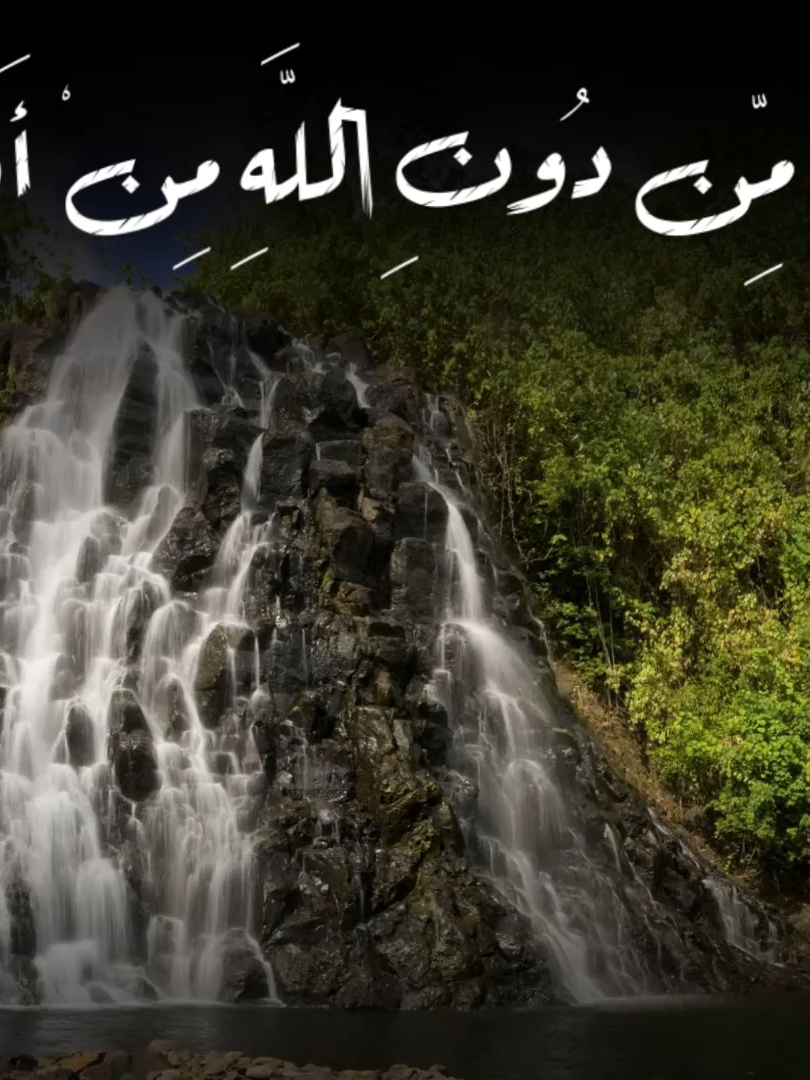 #قران_كريم #عبدالباسط_عبدالصمد #عبد_الباسط_عبد_الصمد #القران_الكريم_راحه_نفسية😍🕋 #القران #quran #quran_alkarim #quranrecitation #الحنجرة_الذهبية #المنشاوي #محمد_صديق_المنشاوي #الشيخ_عبدالباسط_عبدالصمد #قرانكريم #ياسر_الدوسري #فارس_عباد #محمود_علي_البنا #محمود_خليل_الحصرى