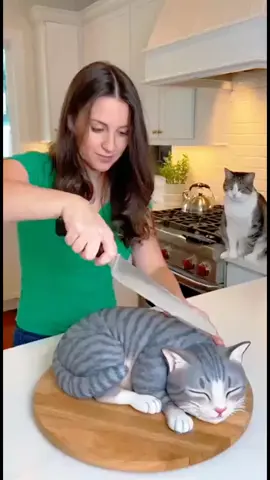 #cat #cake #prank #funny #video #catattack  #viralvideo #funnyvideos #foryoupage #trending #viral #foryou #sora #ai #sora2 #aivideo #catsoftiktok #catlovers #PetsOfTikTok #plzviral🥺🥺🙏🙏foryoupage #fyp #creatorsearchinsight 
