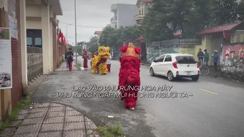 Nó nói gi z… Lần làm địa vuii nhấttt #lân_sư_rồng #lân_sư_rồng_niềm_đam_mê_bất_tận #kinhbackungfu🐉 #viral #xh @nkang_dth 