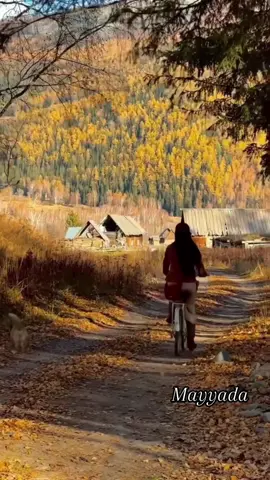 يا ساكنة حينا#كاظم_الساهر #قديم #القيصر #foryou #foryoupage 