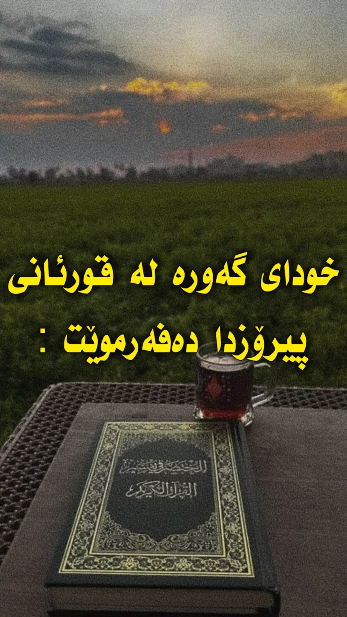 #foryou #page #foryoupage #tiktok #veral 