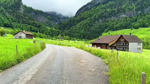 الحدود بين المانيا 🇩🇪 و سويسرا 🇨🇭  #🇧🇪🇩🇪🇨🇭 #فرنسا🇨🇵_بلجيكا🇧🇪_المانيا🇩🇪_اسبانيا🇪🇸 #Naturelovers 