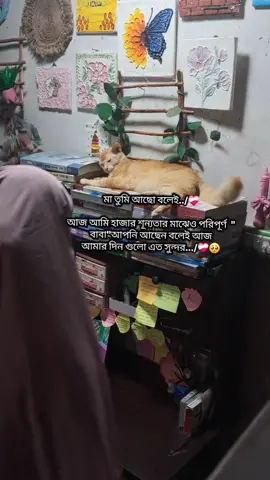 একটা ছেলের জন্য আমার মায়েরে আমি অনেক কষ্ট দিছি অনেক খারাপ ব্যবহার করছি,, আমার মায়ে আমায় কইছিল মা এই ছেলে তোরে ধ্বংস  করব,, আমি তোর ভবিষত দেখি তুই দেখচ বর্তমান,,,আমার বর্তমান যখন অতিত হলো আজ বুঝতে পারতাছি মা তুমি এ ঠিক ছিলা আমি এ ভুল ছিলাম😅❤️‍🩹  #foryou #foryou #Inshallah #alAlhamdulillah 