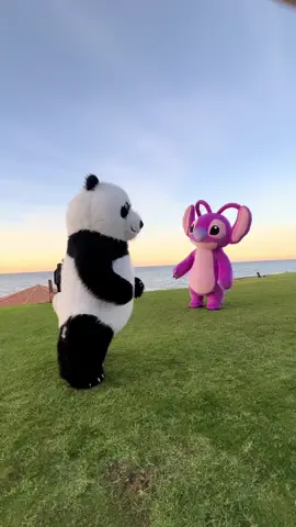 #khalil_animation #tunisia🇹🇳 panda u stitsh f la sigale 😂🤍🫶