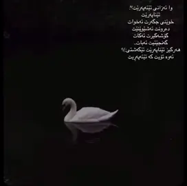 ئەوە تۆیت کە تێئەپەریت:)#foryoupage #🖤 #tiktok #music #actives? 