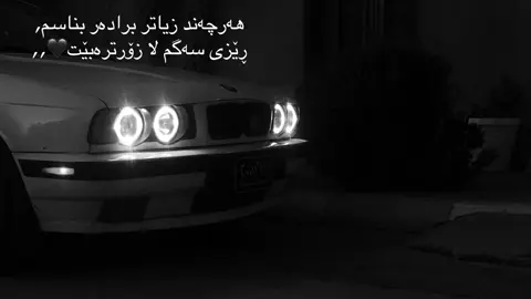 ڕێزیی سه‌گگگگ🖤😩#fyp #foryou #viral #saidsadq #halabja 