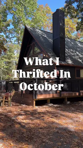 October‘s thrift haul has me feeling so good!  which thrift find is your favorite? I don’t think I can pick one!  ##thriftedandstyled##thriftwithme##goodwillfinds##thriftstorefinds