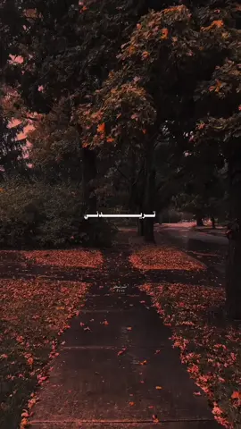 تريدني تنطيني وقتك؟!🤎 #عبارات #اقتباسات #الشعب_الصيني_ماله_حل😂😂 #fyp #تصاميم 