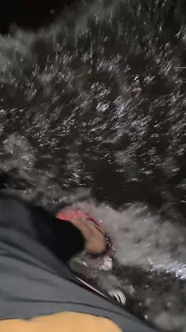 năm nhất mua một chiếc xe honda, năm cuối lời thêm được chiếc xuồng 😐#nuocngap #fyp #xuhuong #cantho 