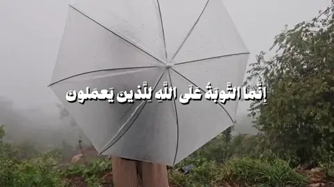 ﴿إِنَّمَا التَّوبَةُ عَلَى اللَّهِ لِلَّذينَ يَعمَلونَ السّوءَ بِجَهالَةٍ ثُمَّ يَتوبونَ مِن قَريبٍ فَأُولئِكَ يَتوبُ اللَّهُ عَلَيهِم وَكانَ اللَّهُ عَليمًا حَكيمًا﴾🤎#استغفرالله_واتوب_اليه_من_كل_ذنب_عظيم #سبحان_الله_وبحمده_سبحان_الله_العظيم #اللهم_انك_عفو_تحب_العفو_فاعف_عنا #fyp #viral 