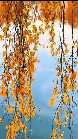 #Emotions don’t ask for permission, they arrive like wild storms or gentle whispers, breaking through silence, reminding us that to feel is to be truly alive.#