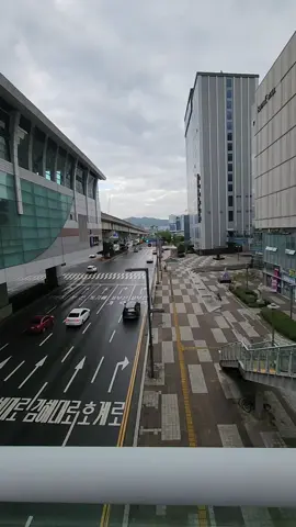 donyo koyok gone dwe 🤪