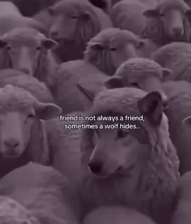 #virall #king #valmiri #hahahaha #furdich #yuuuuuuuuuuuuuuuuuuuuuuuuuuu #zakon #fypシ゚viral 