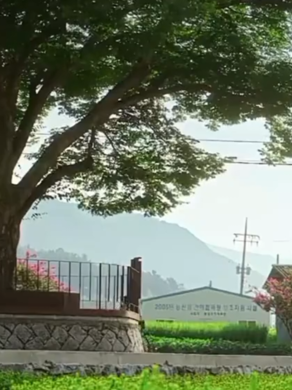 مسلسلي الجديد 😽💞.#explor #kdrama #fyp #foryoupage #viral 