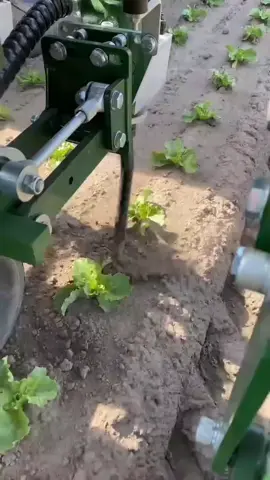 it's your turn to travel and work abroad🎉🥳 Hello Brother and Sister, We are here to inform the public about the on-going travel work and pay program that we are currently running.We offer job in Canada 🇨🇦, Germany🇩🇪,UK🇬🇧,Australia🇦🇺 And Luxembourg 🇱🇺 #canada_life🇨🇦 #ghanatiktok🇬🇭 #fyp #luxembourg🇱🇺 #travel 