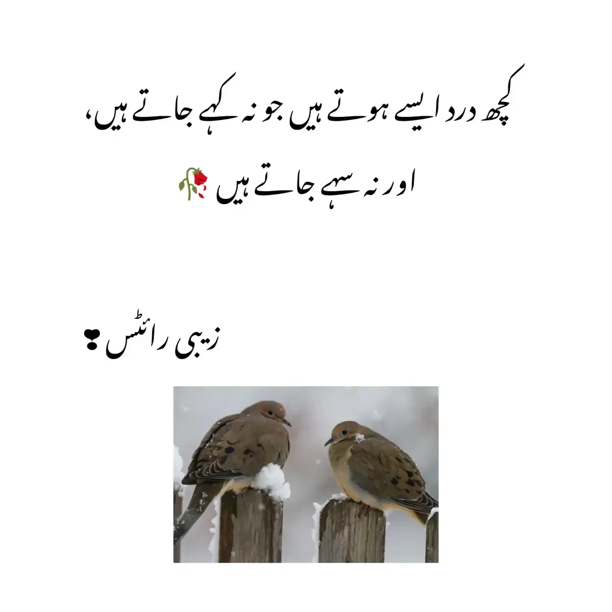 کچھ درد ایسے ہوتے ہیں جو لفظوں میں بیان نہیں کیے جا سکتے، وہ دل کے اتنے گہرے حصے میں چھپ جاتے ہیں کہ آنکھوں کے آنسو بھی وہاں تک نہیں🍁  #tiktokviralvedio🥹😭🌸 #zabiwrites023❤️🥰 #foryoupage😭🥹 #viralvedio😭😭💔💯 #repostvideo❤ 