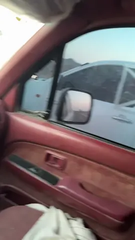 #تبوك_الورد_تبوك_تيماء_ضباء_حقل 