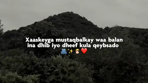 Insha Allah  #J͜͡a͜͡a͜͡b͜͡i͜͡r͜͡o͜͡w͜͡☠️🦧 #viewslaaan🥺💔😭 