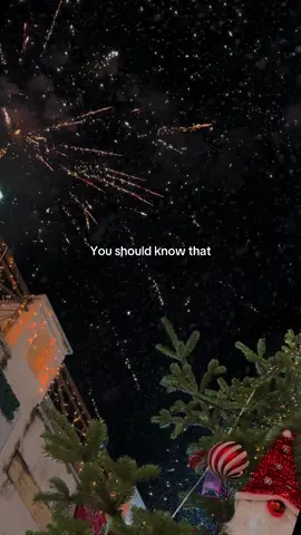 You should know that I died slow running through the halls of your haunted home #merrychristmas #pleasedontcall #thebleachers #foryoupage #mirrorball 