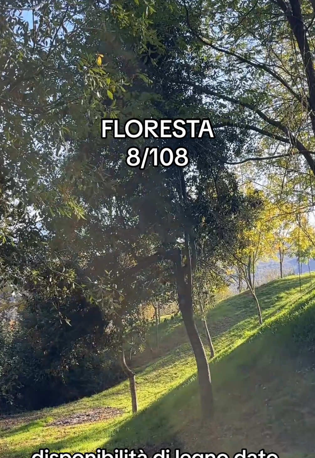 questo è un episodio un po’ speciale 🐗⛰️#meppando #messina #sicilia #viaggio #ottobrando #floresta #nebrodi #etna 