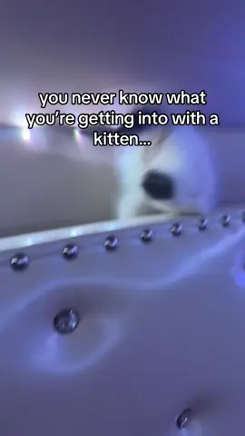 I thought he was stuck 😭😭😭 #scary #kitten #stuck #catsoftiktok #fall 