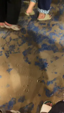 ฝนตกแบบฉ่ำๆ เปียกหมด #ลอยกระทงสุโขทัย #สุโขทัย #ฝนตก #เทรนวันนี้ #เปิดการมองเห็น 