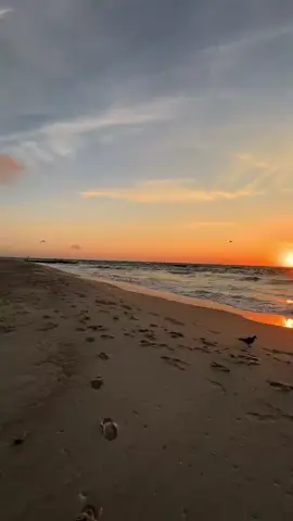 مادمت تنوي الخير فانت بخير... #اقتباسات_عبارات_خواطر #كلام_من_ذهب☑ #صحيح #اكسبلور #اعادة_النشر🔃 