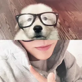 #nct #nctwish #nctwishedit #jaehee #fyp 