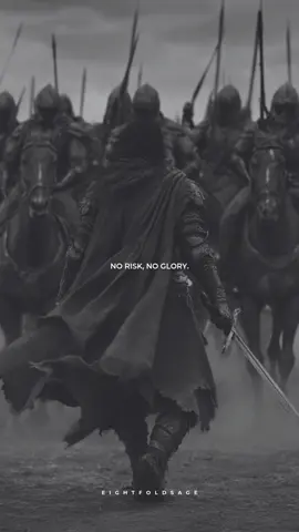 No risk, no glory. #motivation #discipline #stoicism #motivationalquotes #fyp 