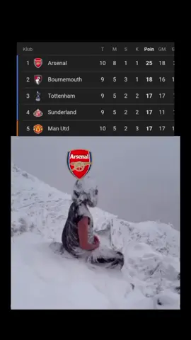 usai menang 0-2 atas Burnley, King Arsenal makin menjauh makin nyaman di pucuk klasemen🥶🥶🥶 #PremierLeague #burnley #arsenal #arsenalvsburnley #fyp 